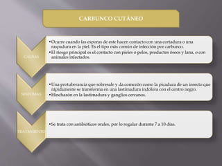 Carbunco: tipos y tratamiento | PPTX