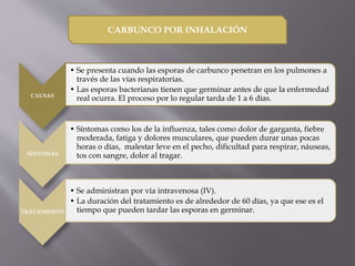 Carbunco: tipos y tratamiento | PPTX