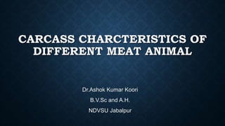CARCASS CHARCTERISTICS OF
DIFFERENT MEAT ANIMAL
Dr.Ashok Kumar Koori
B.V.Sc and A.H.
NDVSU Jabalpur
 