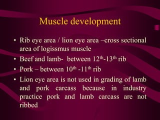 carcass_evaluation_meat_grading.pdfeeeelccfrr | PDF