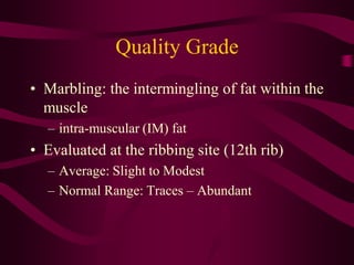 Modest Grade carcass_evaluation_meat_grading.pdfeeeelccfrr | PDF