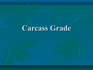 Carcass Grade

 