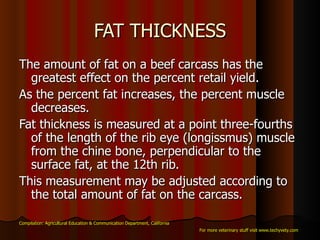 FAT THICKNESS The amount of fat on a beef carcass has the greatest effect on the percent retail yield.  As the percent fat increases, the percent muscle decreases.  Fat thickness is measured at a point three-fourths of the length of the rib eye (longissmus) muscle from the chine bone, perpendicular to the surface fat, at the 12th rib.  This measurement may be adjusted according to the total amount of fat on the carcass.  Compilation: Agricultural Education & Communication Department, California For more veterinary stuff visit www.techyvety.com 