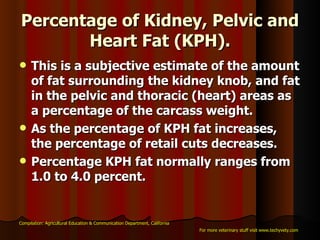 Percentage of Kidney, Pelvic and Heart Fat (KPH). This is a subjective estimate of the amount of fat surrounding the kidney knob, and fat in the pelvic and thoracic (heart) areas as a percentage of the carcass weight.  As the percentage of KPH fat increases, the percentage of retail cuts decreases.  Percentage KPH fat normally ranges from 1.0 to 4.0 percent.   Compilation: Agricultural Education & Communication Department, California For more veterinary stuff visit www.techyvety.com 