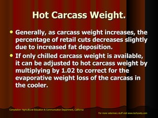 Hot Carcass Weight. Generally, as carcass weight increases, the percentage of retail cuts decreases slightly due to increased fat deposition.  If only chilled carcass weight is available, it can be adjusted to hot carcass weight by multiplying by 1.02 to correct for the evaporative weight loss of the carcass in the cooler.   Compilation: Agricultural Education & Communication Department, California For more veterinary stuff visit www.techyvety.com 