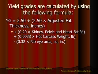 Yield grades are calculated by using the following formula:  YG = 2.50 + (2.50 × Adjusted Fat Thickness, inches)  + (0.20 × Kidney, Pelvic and Heart Fat %) + (0.0038 × Hot Carcass Weight, lb) - (0.32 × Rib eye area, sq. in.)   Compilation: Agricultural Education & Communication Department, California For more veterinary stuff visit www.techyvety.com 