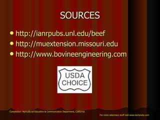 SOURCES http://ianrpubs.unl.edu/beef http://muextension.missouri.edu http://www.bovineengineering.com Compilation: Agricultural Education & Communication Department, California For more veterinary stuff visit www.techyvety.com 