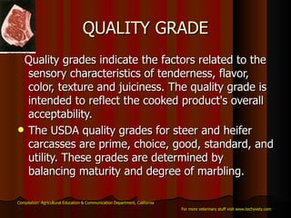QUALITY GRADE Quality grades indicate the factors related to the sensory characteristics of tenderness, flavor, color, texture and juiciness. The quality grade is intended to reflect the cooked product's overall acceptability.  The USDA quality grades for steer and heifer carcasses are prime, choice, good, standard, and utility. These grades are determined by balancing maturity and degree of marbling. Compilation: Agricultural Education & Communication Department, California For more veterinary stuff visit www.techyvety.com 