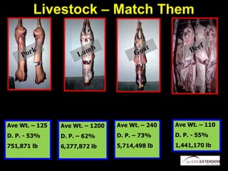 Livestock – Match Them
Ave Wt. – 240
D. P. – 73%
5,714,498 lb
Ave Wt. – 125
D. P. - 53%
751,871 lb
Ave Wt. – 110
D. P. - 55%
1,441,170 lb
Ave Wt. – 1200
D. P. – 62%
6,277,872 lb
 