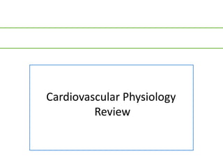 Cardiovascular Physiology
         Review
 