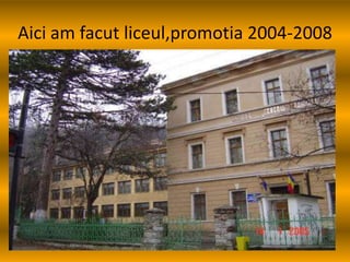 Carceanu Mirela Iulia