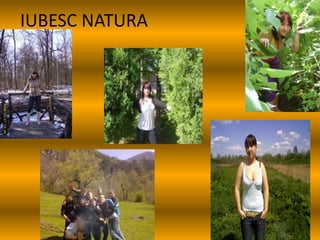 Carceanu Mirela Iulia