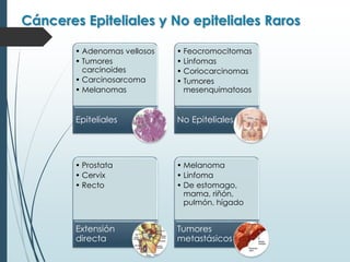 Cánceres Epiteliales y No epiteliales Raros
• Adenomas vellosos
• Tumores
carcinoides
• Carcinosarcoma
• Melanomas
Epiteliales
• Feocromocitomas
• Linfomas
• Coriocarcinomas
• Tumores
mesenquimatosos
No Epiteliales
• Prostata
• Cervix
• Recto
Extensión
directa
• Melanoma
• Linfoma
• De estomago,
mama, riñón,
pulmón, hígado
Tumores
metastásicos
 