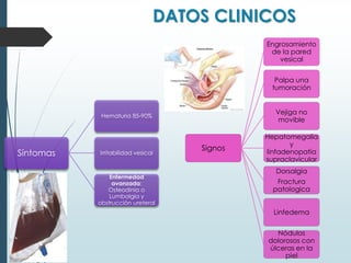 DATOS CLINICOS
Síntomas
Hematuria 85-90%
Irritabilidad vesical
Enfermedad
avanzada:
Osteodinia o
Lumbalgia y
obstrucción ureteral
Signos
Engrosamiento
de la pared
vesical
Palpa una
tumoración
Vejiga no
movible
Hepatomegalia
y
linfadenopatía
supraclavicular
Dorsalgia
Fractura
patologica
Linfedema
Nódulos
dolorosos con
úlceras en la
piel
 