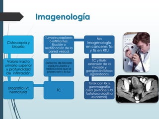Imagenología
Cistoscopía y
biopsia
Valora tracto
urinario superior
y profundidad
de infiltración
Urografía IV:
hematuria
TC
Defectos de llenado
pedunculados y
radiolúcidos que se
proyectan a la luz
Tumores papilares
o infiltrantes:
fijación o
rectificación de la
pared vesical
No
imagenología
en cánceres Ta
y Tis en RTU
TC y RMN
extensión de la
invasión y
ganglios linfáticos
agrandados
Torax con Rx y
gammagrafía
osea (evitarse si la
fosfatasa alcalina
es normal)
 