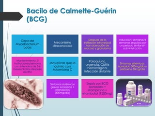 Bacilo de Calmette-Guérin
(BCG)
Cepa de
Mycobacterium
bobis
Mecanismo
desconocido
Despues de la
instilación intravesical
hay ulceración de
mucosa y granuloma
Inducción: semanal/6
semanas seguido por
un periodo similar sin
administración
Mantenimiento: 3
instilaciones/semana
con intervalos de 3-6
meses/3 años después
de RTU
Mas eficas que la
quimio con
Mitomicina C
Polaquiuria,
urgencia. Cistitis
hemorrágica,
infección distante
Síntomas sistémicos:
isoniazida 300mg/dia y
piridoxina 50mg/día
Síntomas sistémicos
graves isoniazida +
rifampicina
(600mg/día)
Sepsis por BCG
isoniazida +
rifampicina +
etambutol (1200mg)
 