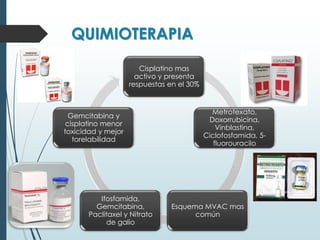 QUIMIOTERAPIA
Cisplatino mas
activo y presenta
respuestas en el 30%
Metrotexato,
Doxorrubicina,
Vinblastina,
Ciclofosfamida, 5-
fluorouracilo
Esquema MVAC mas
común
Ifosfamida,
Gemcitabina,
Paclitaxel y Nitrato
de galio
Gemcitabina y
cisplatino menor
toxicidad y mejor
torelabilidad
 