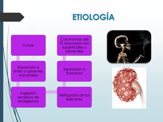 ETIOLOGÍA
Fumar
Exposición a
tintes o solventes
industriales
Ingestión
excesiva de
analgésicos
Nefropatía de los
Balcanes
Exposición a
Thorotrast
Carcinomas del
TS asociados son
superficiales y
bilaterales
 