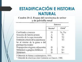ESTADIFICACIÓN E HISTORIA
NATURAL
 