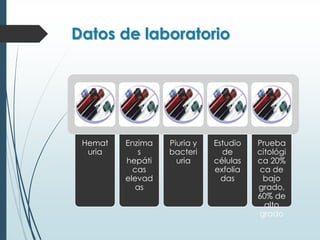 Datos de laboratorio
Hemat
uria
Enzima
s
hepáti
cas
elevad
as
Piuria y
bacteri
uria
Estudio
de
células
exfolia
das
Prueba
citológi
ca 20%
ca de
bajo
grado,
60% de
alto
grado
 