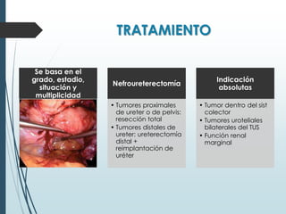 TRATAMIENTO
Se basa en el
grado, estadio,
situación y
multiplicidad
Nefroureterectomía
• Tumores proximales
de ureter o de pelvis:
resección total
• Tumores distales de
ureter: ureterectomía
distal +
reimplantación de
uréter
Indicación
absolutas
• Tumor dentro del sist
colector
• Tumores uroteliales
bilaterales del TUS
• Función renal
marginal
 