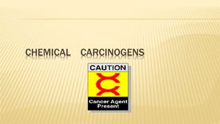 CHEMICAL CARCINOGENS
 