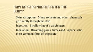 HOW DO CARCINOGENS ENTER THE
BODY?
Skin absorption. Many solvents and other chemicals
go directly through the skin.
Ingestion. Swallowing of a carcinogen.
Inhalation. Breathing gases, fumes and vapors is the
most common form of exposure.
 