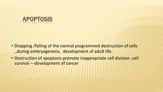 APOPTOSIS
• Dropping /falling of the normal programmed destruction of cells
.,during embryogenesis, development of adult life.
• Destruction of apoptosis promote inappropriate cell division ,cell
survival ---development of cancer
 