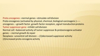 Proto-oncogenes –normal genes –stimulate celldivision
Proto-oncogenes (activated by physical, chemical, biological carcinogens )-----
oncogenes ---growth factor ,growth factor receptors ,signal transductionproteins
Tumor suppressor gene –inhibit cell division
Normal cell –balanced activity of tumor suppressor & protooncogene activator
genes ---normal growth & repair
Neoplasia –uncontrol cell division ---(1)decreased suppressor activity
(2)increased proto-oncogene activity
 