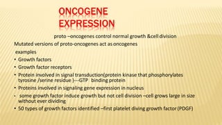 ONCOGENE
EXPRESSION
proto –oncogenes control normal growth &cell division
Mutated versions of proto-oncogenes act as oncogenes
examples
• Growth factors
• Growth factor receptors
• Protein involved in signal transduction(protein kinase that phosphorylates
tyrosine /serine residue )---GTP binding protein
• Proteins involved in signaling gene expression in nucleus
• some growth factor induce growth but not cell division –cell grows large in size
without ever dividing
• 50 types of growth factors identified –first platelet diving growth factor(PDGF)
 