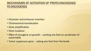 MECHANISMS OF ACTIVATION OF PROTO-ONCOGENES
TOONCOGENES
• Promoter and enhancer insertion
• Chromosomal translocation
• Gene amplification
• Point mutation
• Effect of oncogene on growth ---putting one foot on accelerator of
automobile
• Tumor suppressor gene ---taking one foot from the break
 