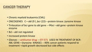 CANCER THERAPY
• Chronic myeloid leukaemia (CML)
• ONCOGENES C—abl (9 ) ,bcr (22)---protein kinase ,tyrosine kinase
• Trnlocation of bcr gene to abl gene --bcr –abl gene –protein kinase
enzyme
• Bcl---abl not regulated
• Increased protein kinase
• Gleevec ---antitumor drug ---STI 571 USED IN TREATMENT OF BCR-
ABL GENE—(tyrosine KINASE) ---90% cancer patients respond to
treatment –rapid growth decreased but side effects
 