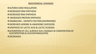 BIOCHEMICAL CHANGES
ALTERED GENE REGULATION
INCREASED DNA SYNTHESIS
INCREASED RNA SYNTHESIS
 INCREASED PROTEIN SYNTHESIS
ANABOLISM---GROWTH FACTORS &HORMONES
INCREASED AEROBIC & ANAEROBIC GLYCOLYSIS
SYNTHESIS OF LACTIC ACID & LACTIC ACIDOSIS
ALTERATION OF CELL SURFACE DUE CHANGES IN COMPOSITION OF
GLYCOPROTEINS & GLYCOSPHINGOLIPIDS
DECREASED
 