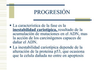PROGRESIÓN La caracteristica de la fase es la  inestabilidad cariotípica,  resultado de la acumulación de mutaciones en el ADN, mas la acción de los carcinógenos capaces de dañar el ADN. La inestabilidad cariotípica depende de la alteración de la proteina p53, que ocasiona que la celula dañada no entre en apoptosis 