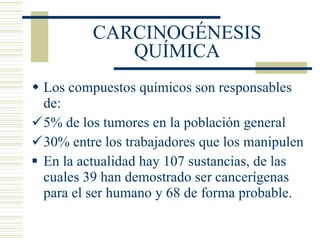 CARCINOGÉNESIS QUÍMICA Los compuestos químicos son responsables de: 5% de los tumores en la población general 30% entre los trabajadores que los manipulen En la actualidad hay 107 sustancias, de las cuales 39 han demostrado ser cancerígenas para el ser humano y 68 de forma probable. 