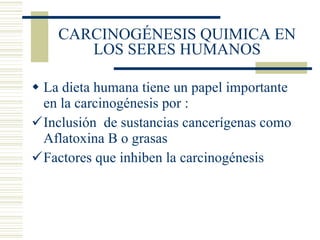 CARCINOGÉNESIS QUIMICA EN LOS SERES HUMANOS La dieta humana tiene un papel importante en la carcinogénesis por : Inclusión  de sustancias cancerígenas como Aflatoxina B o grasas Factores que inhiben la carcinogénesis 