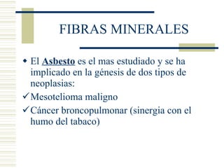 FIBRAS MINERALES El  Asbesto  es el mas estudiado y se ha implicado en la génesis de dos tipos de neoplasias: Mesotelioma maligno Cáncer broncopulmonar (sinergia con el humo del tabaco) 