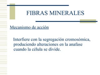 FIBRAS MINERALES Mecanismo de acción Interfiere con la segregación cromosómica, produciendo alteraciones en la anafase cuando la célula se divide. 