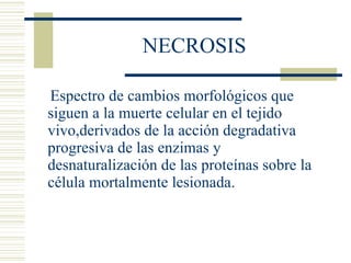 NECROSIS Espectro de cambios morfológicos que siguen a la muerte celular en el tejido vivo,derivados de la acción degradativa progresiva de las enzimas y desnaturalización de las proteínas sobre la célula mortalmente lesionada. 