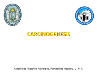 CARCINOGENESIS Cátedra de Anatomía Patológica. Facultad de Medicina. U. N. T. 