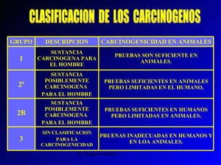 CLASIFICACION  DE  LOS  CARCINOGENOS PRUENAS INADECUADAS EN HUMANOS Y EN LOA ANIMALES. SIN CLASIFICACION PARA LA CARCINOGENICIDAD 3 PRUEBAS SUFICIENTES EN HUMANOS PERO LIMITADAS EN ANIMALES. SUSTANCIA POSIBLEMENTE CARCINOGENA  PARA EL HOMBRE 2B PRUEBAS SUFICIENTES EN ANIMALES PERO LIMITADAS EN EL HUMANO. SUSTANCIA POSIBLEMENTE CARCINOGENA  PARA EL HOMBRE 2ª PRUEBAS SON SUFICIENTE EN ANIMALES. SUSTANCIA CARCINOGENA PARA EL HOMBRE 1 CARCINOGENICIDAD EN ANIMALES DESCRIPCION GRUPO 