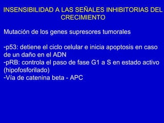 INSENSIBILIDAD A LAS SEÑALES INHIBITORIAS DEL
CRECIMIENTO
Mutación de los genes supresores tumorales
-p53: detiene el ciclo celular e inicia apoptosis en caso
de un daño en el ADN
-pRB: controla el paso de fase G1 a S en estado activo
(hipofosforilado)
-Vía de catenina beta - APC
 