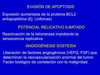 EVASIÓN DE APOPTOSIS
Expresión aumentada de la proteína BCL2
antiapoptótica (Ej: Linfomas)
POTENCIAL RELICATIVO ILIMITADO
Reactivación de la telomerasa impidiendo la
senescencia replicativa
ANGIOGÉNESIS SOSTEIDA
Liberación de factores angiogénicos (VEFG; FGF) que
determinan la neovascularización anormal del tumor.
Factor biológico de correlación con la malignidad.
 