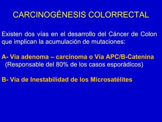 CARCINOGÉNESIS COLORRECTAL
Existen dos vías en el desarrollo del Cáncer de Colon
que implican la acumulación de mutaciones:
A- Vía adenoma – carcinoma o Vía APC/B-Catenina
(Responsable del 80% de los casos esporádicos)
B- Vía de Inestabilidad de los Microsatélites
 
