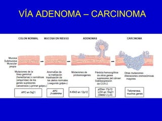 VÍA ADENOMA – CARCINOMA
 