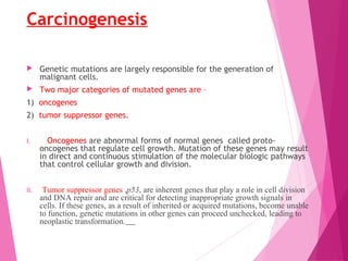Carcinogenesis
 Genetic mutations are largely responsible for the generation of
malignant cells.
 Two major categories of mutated genes are –
1) oncogenes
2) tumor suppressor genes.
I. Oncogenes are abnormal forms of normal genes called proto-
oncogenes that regulate cell growth. Mutation of these genes may result
in direct and continuous stimulation of the molecular biologic pathways
that control cellular growth and division.
II. Tumor suppressor genes ,p53, are inherent genes that play a role in cell division
and DNA repair and are critical for detecting inappropriate growth signals in
cells. If these genes, as a result of inherited or acquired mutations, become unable
to function, genetic mutations in other genes can proceed unchecked, leading to
neoplastic transformation.
 