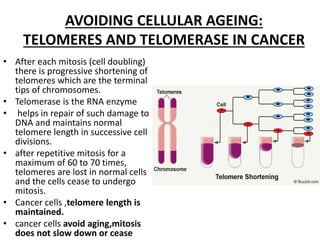Carcinogenesis | PPTX