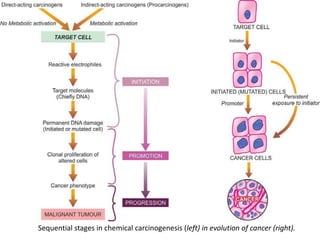 Carcinogenesis | PPTX