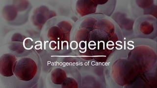 Carcinogenesis
Pathogenesis of Cancer
 