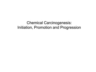 Chemical Carcinogenesis:
Initiation, Promotion and Progression
 